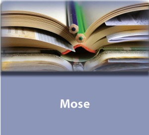 Kommentare zu den Büchern Mose